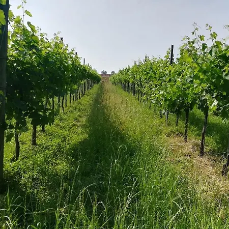 Le Crede 1930 Farmház