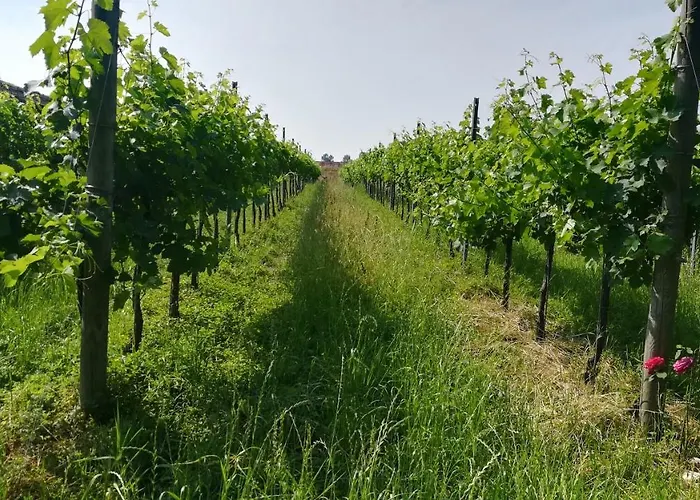 Le Crede 1930 Gospodarstwo agroturystyczne